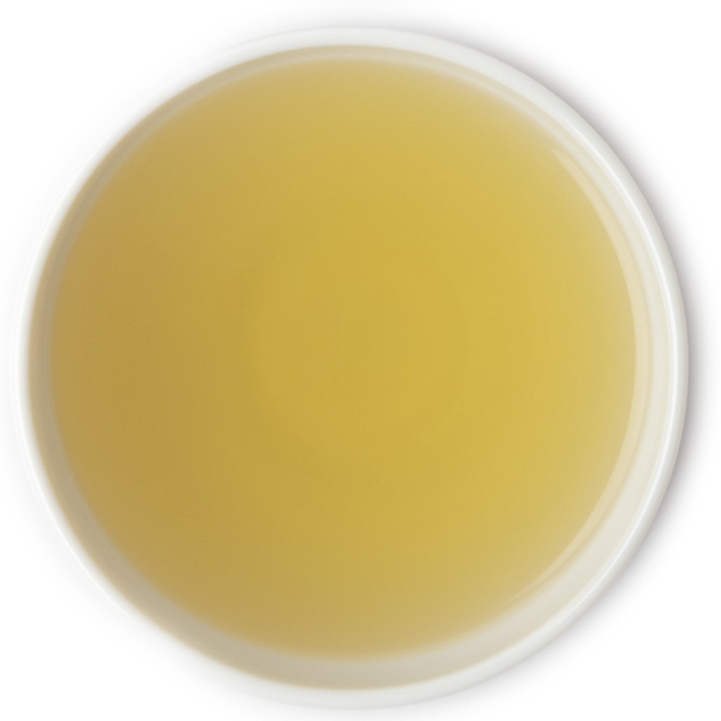Brewed Cherry Green Tea – Light, Fruity and Refreshing