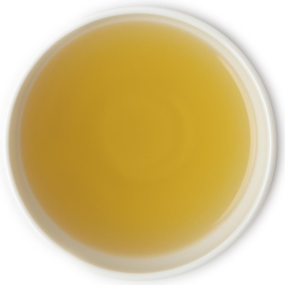 Brewed organic Gunpowder green tea in a cup with a green color