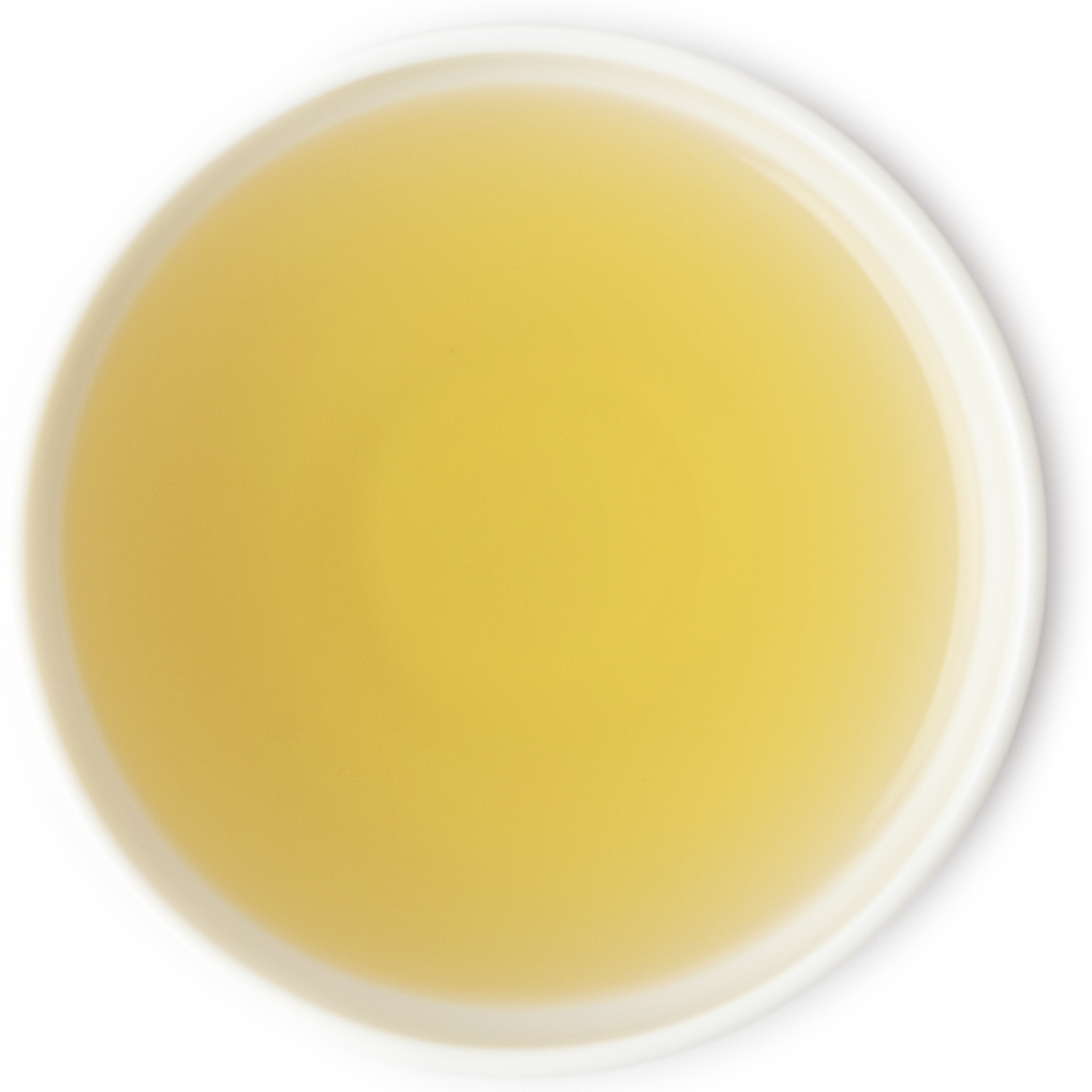 Brewed Tie Kuan Yin Oolong Tea – Smooth and Aromatic Oolong Tea from Fujian, China