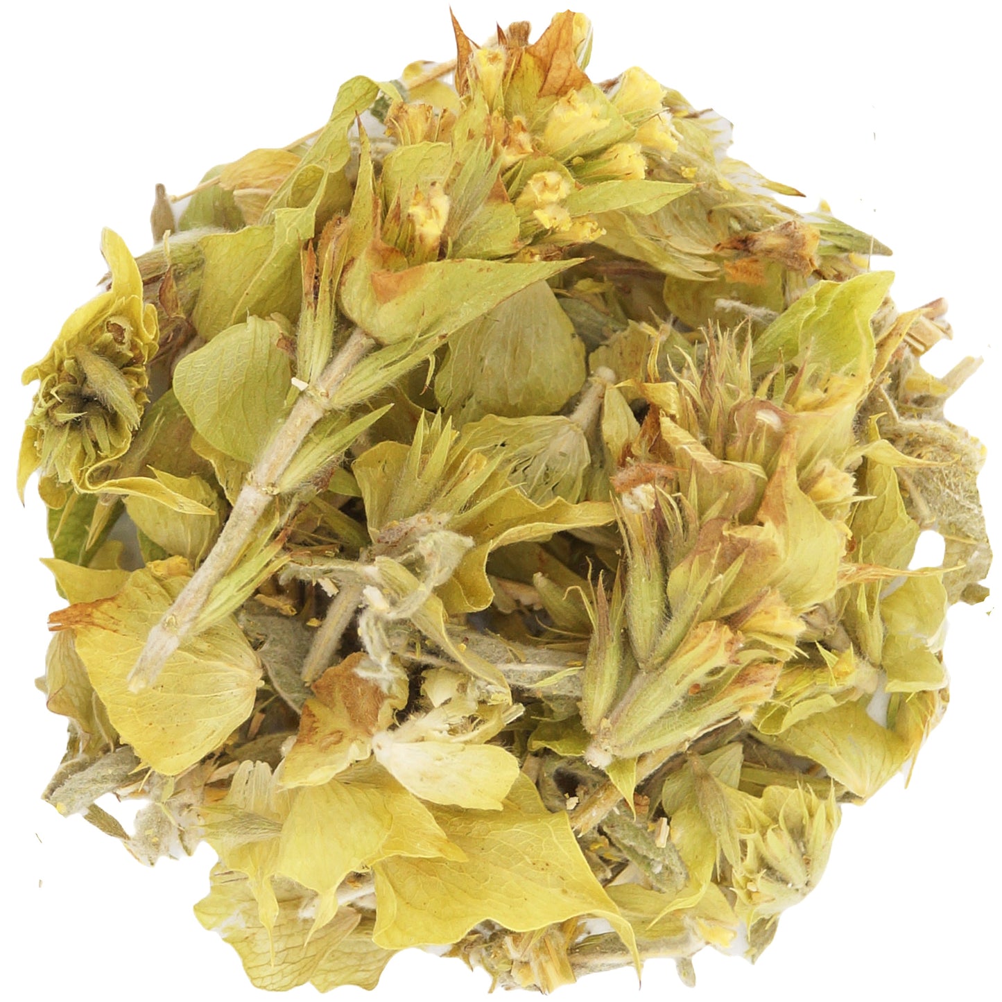 Greek herbal mountain tea ingredients close-up