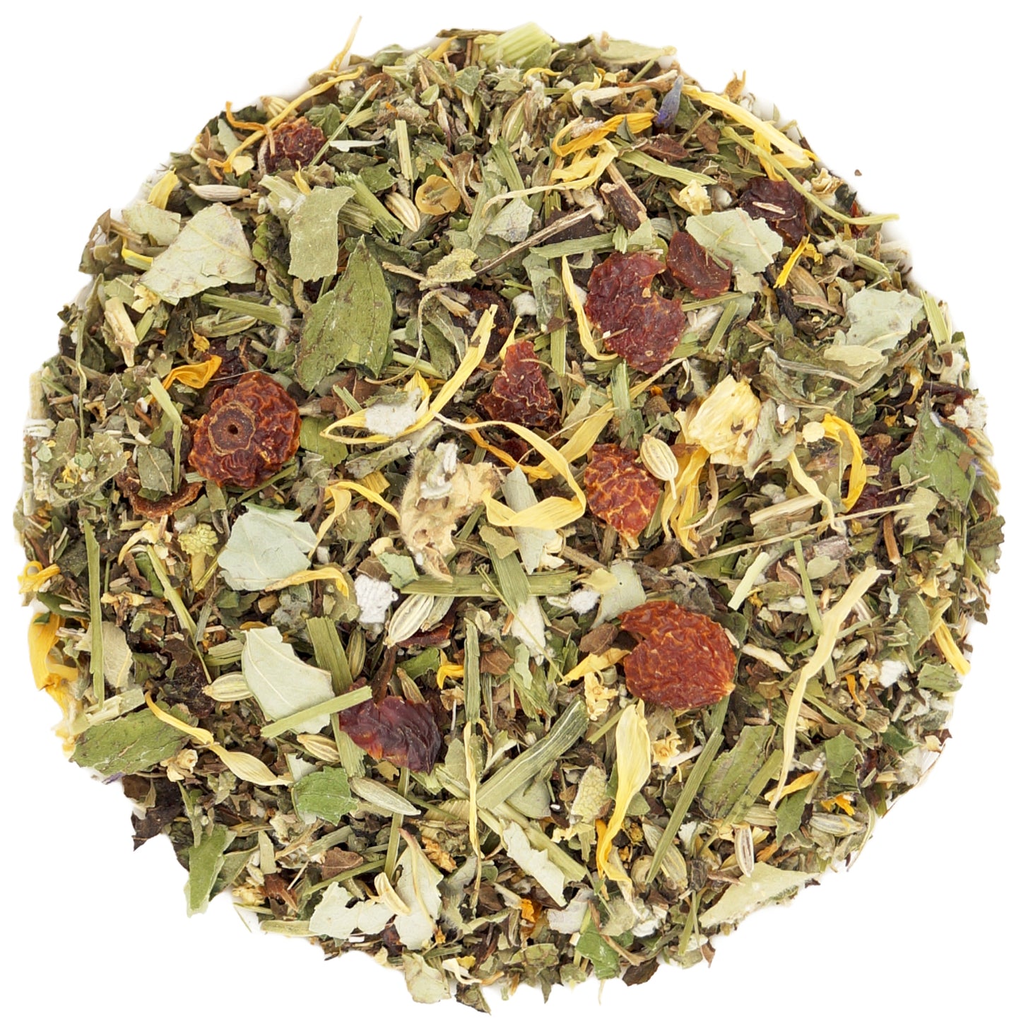 Close-up of dried peppermint, lemon balm, and fennel — fresh organic ingredients in Mountain Blend herbal tea