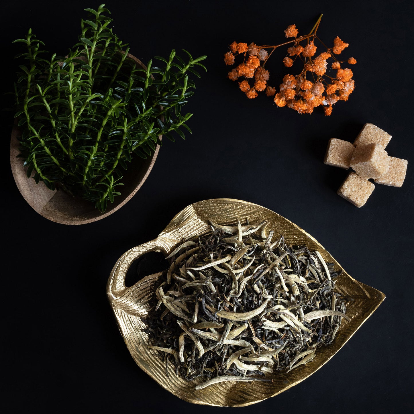 Chinese White Tea Bai Long Served – Fujian White Dragon Loose Leaf Tea