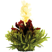 Tea blossom set featuring 6 green blooming tea balls that bloom when exposed to hot water
