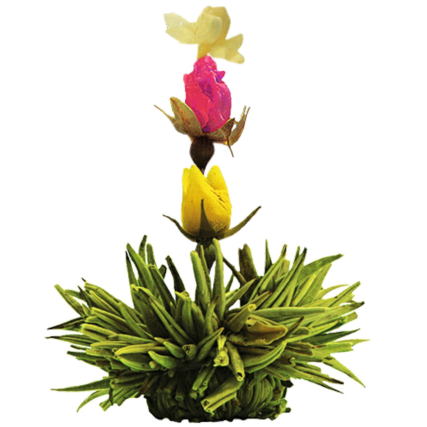 A perfect gift for tea enthusiasts – blooming tea balls that reveal beautiful flowers when brewed