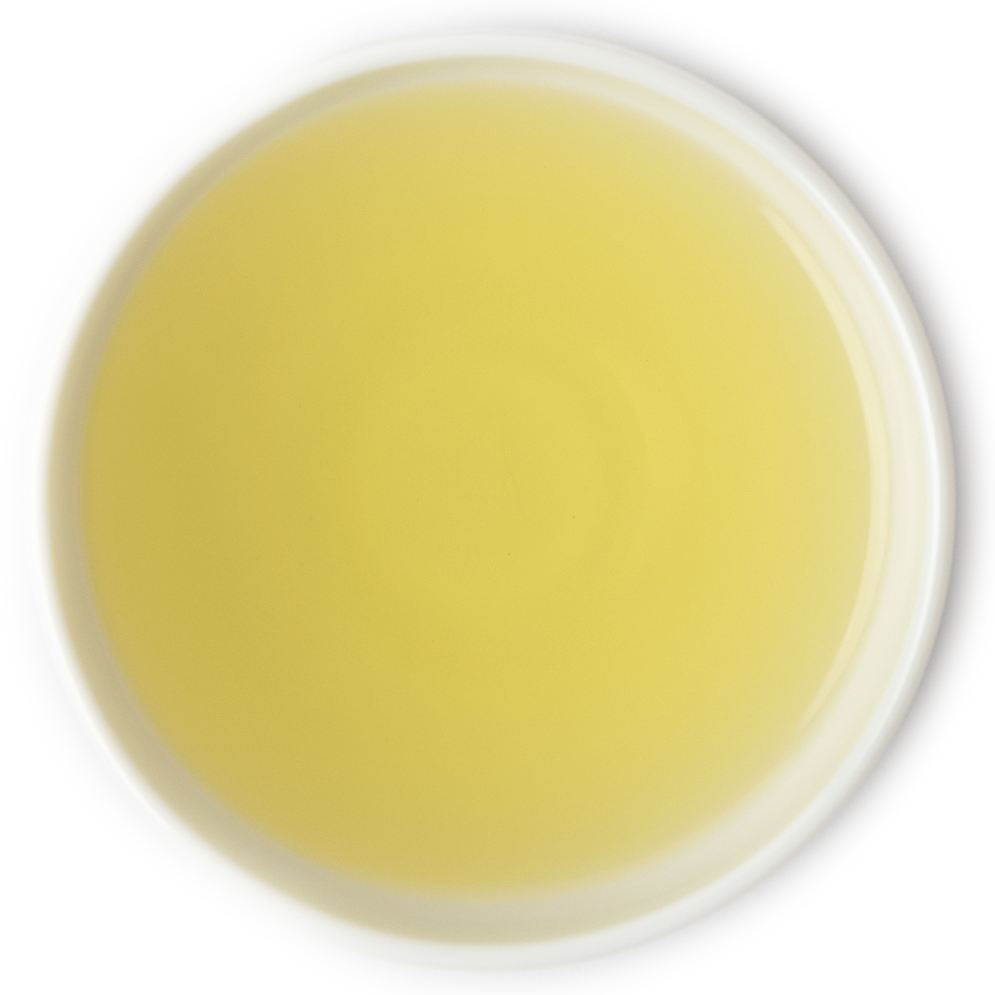 Brewed Sencha green tea in a cup, offering a light and refreshing taste