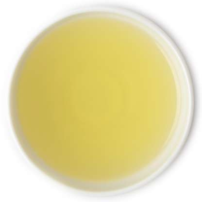 Brewed Sencha green tea in a cup, offering a light and refreshing taste