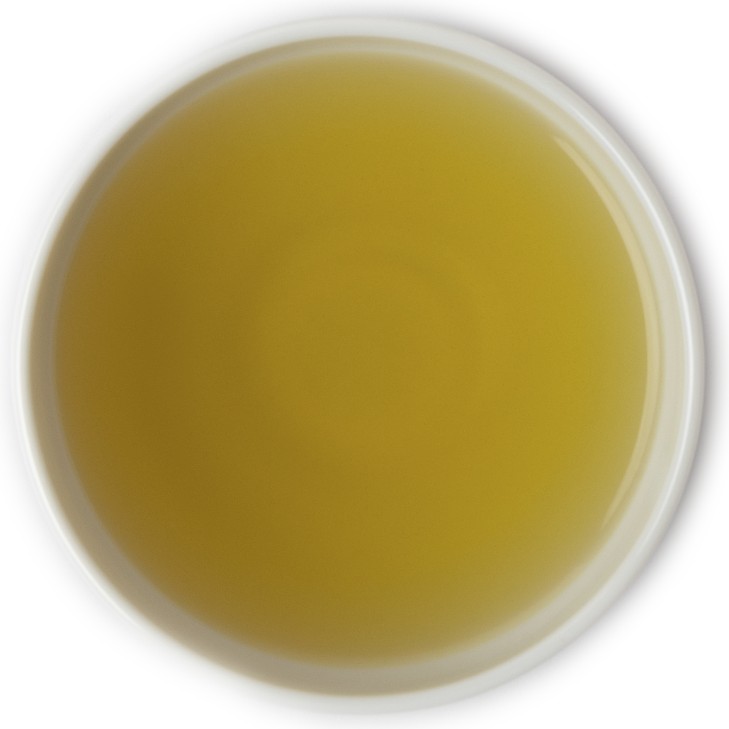 Brewed yerba mate green tea with a fresh and energizing herbal infusion