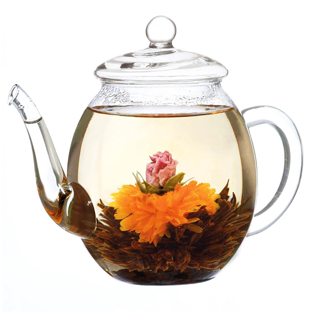 Close-up of flowering tea gift set with blooming green tea and pitcher