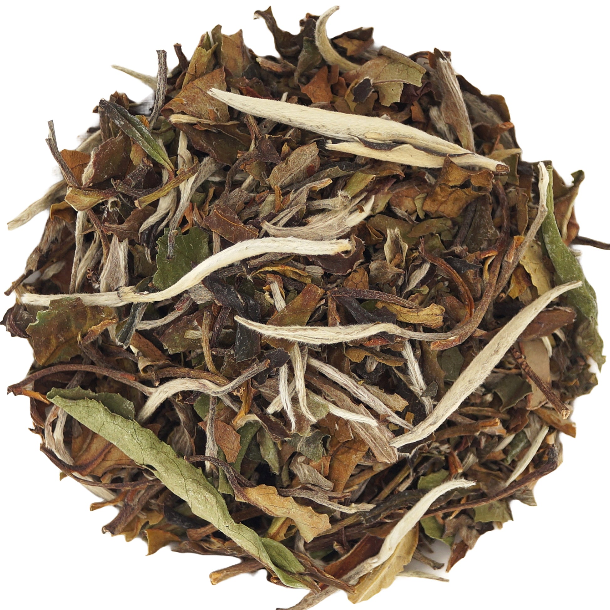 Pai Mu Tan White Tea Leaves – Fujian Loose Leaf Chinese White Tea