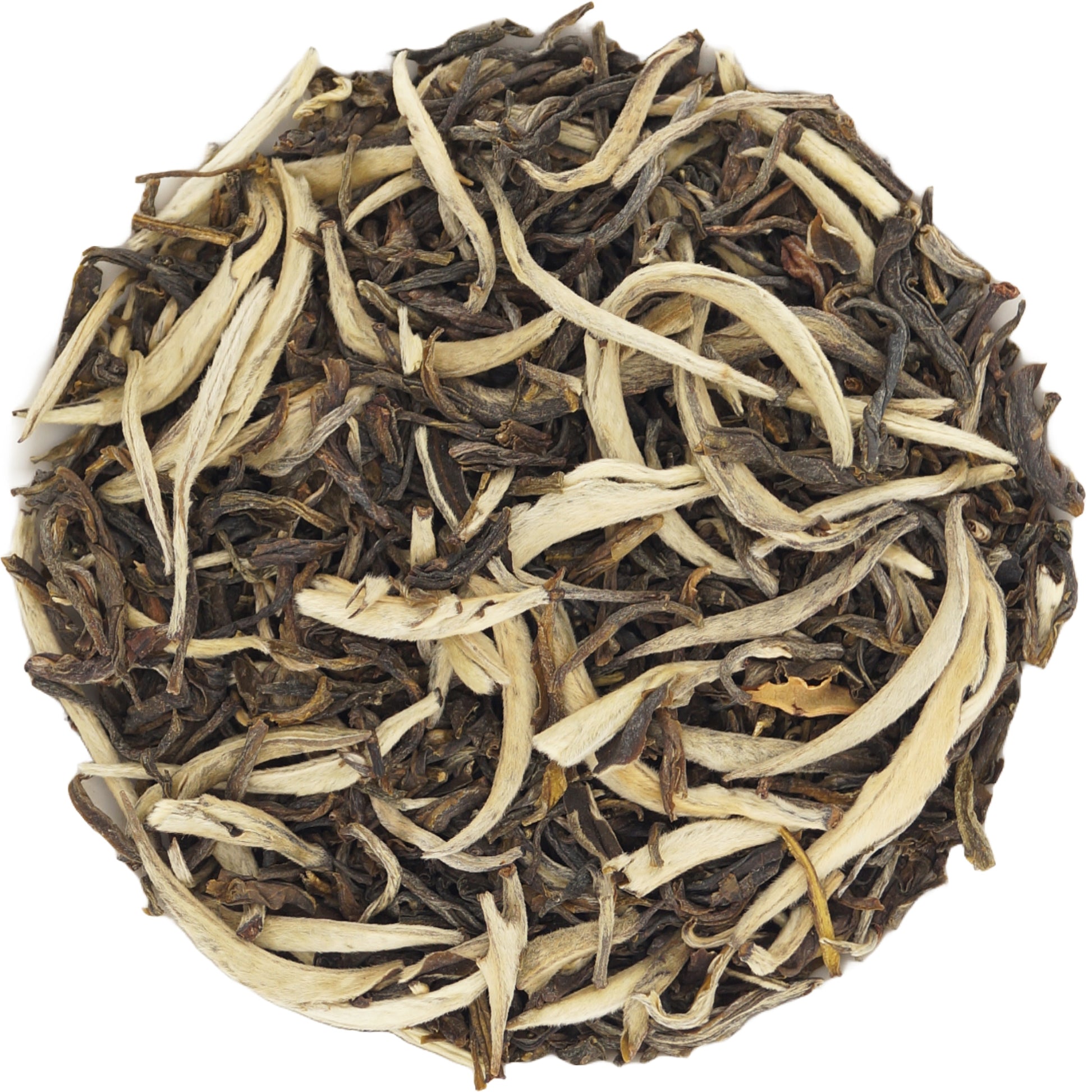 Loose Leaf White Tea from Fujian – White Dragon Bai Long Chinese Tea